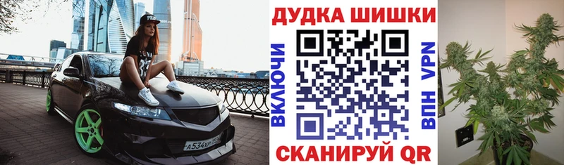 Купить закладки  Тобольск  Шишки марихуана план 